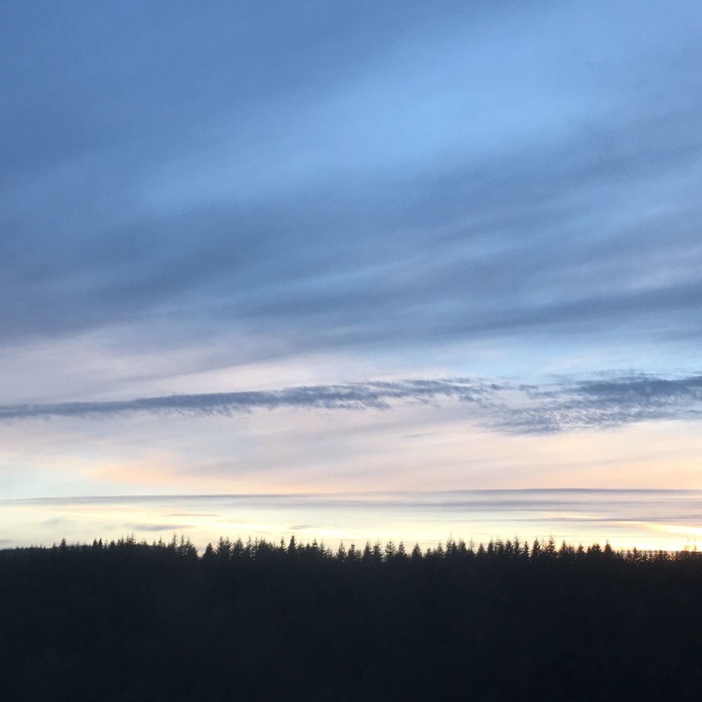 Meet your Posher, Quin